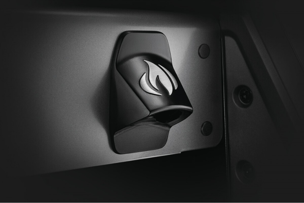 Газовий гриль Napoleon Freestyle 365, графітовий F365PGT-RU