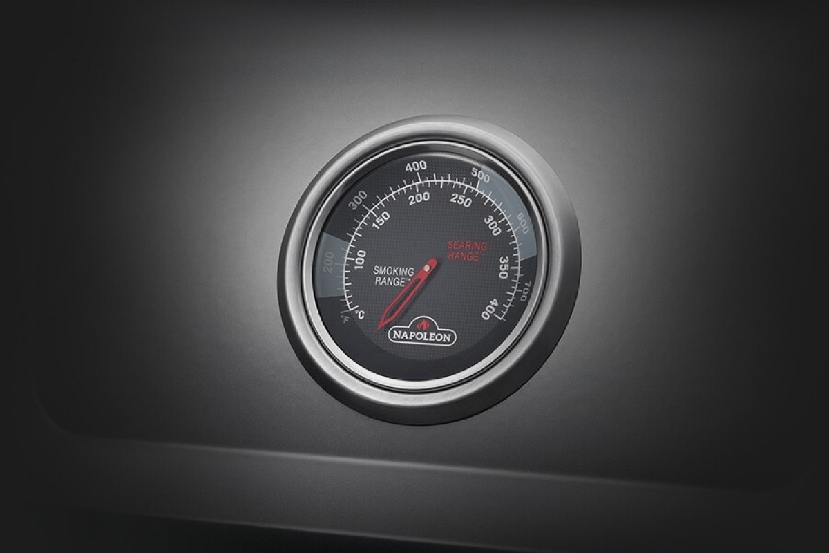 Газовый гриль Napoleon Freestyle 425 с боковой конфоркой Sizzle Zone, графитовый F425SIBPGT-RU