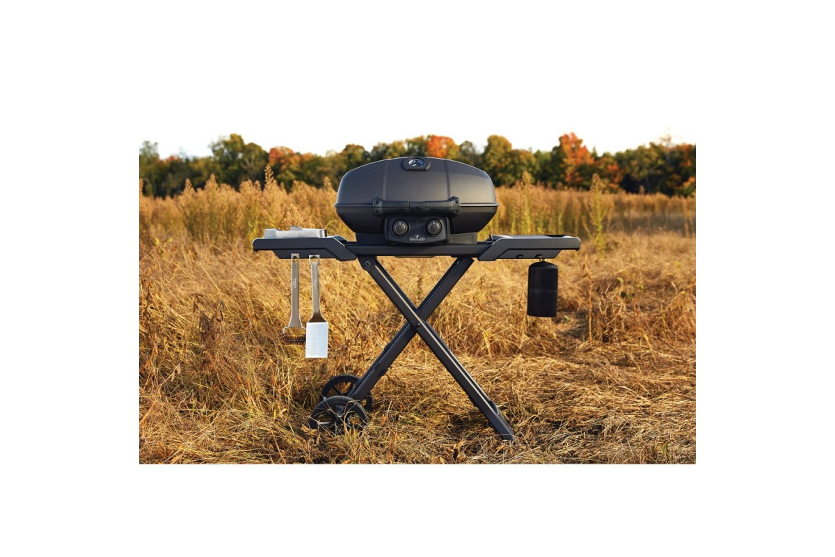 Газовый портативный гриль Napoleon TravelQ PRO285X PHANTOM на подставке, PRO285X-MK-RC-PHM