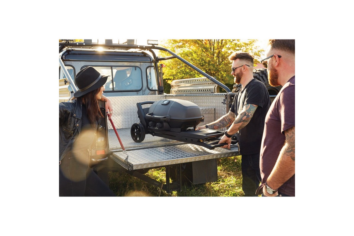 Газовый портативный гриль Napoleon TravelQ PRO285X PHANTOM на подставке, PRO285X-MK-RC-PHM