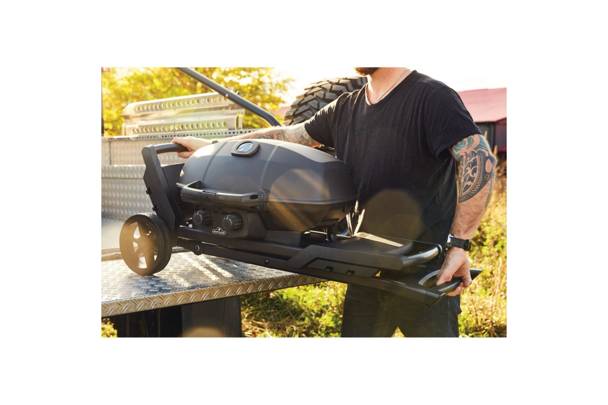 Газовый портативный гриль Napoleon TravelQ PRO285X PHANTOM на подставке, PRO285X-MK-RC-PHM