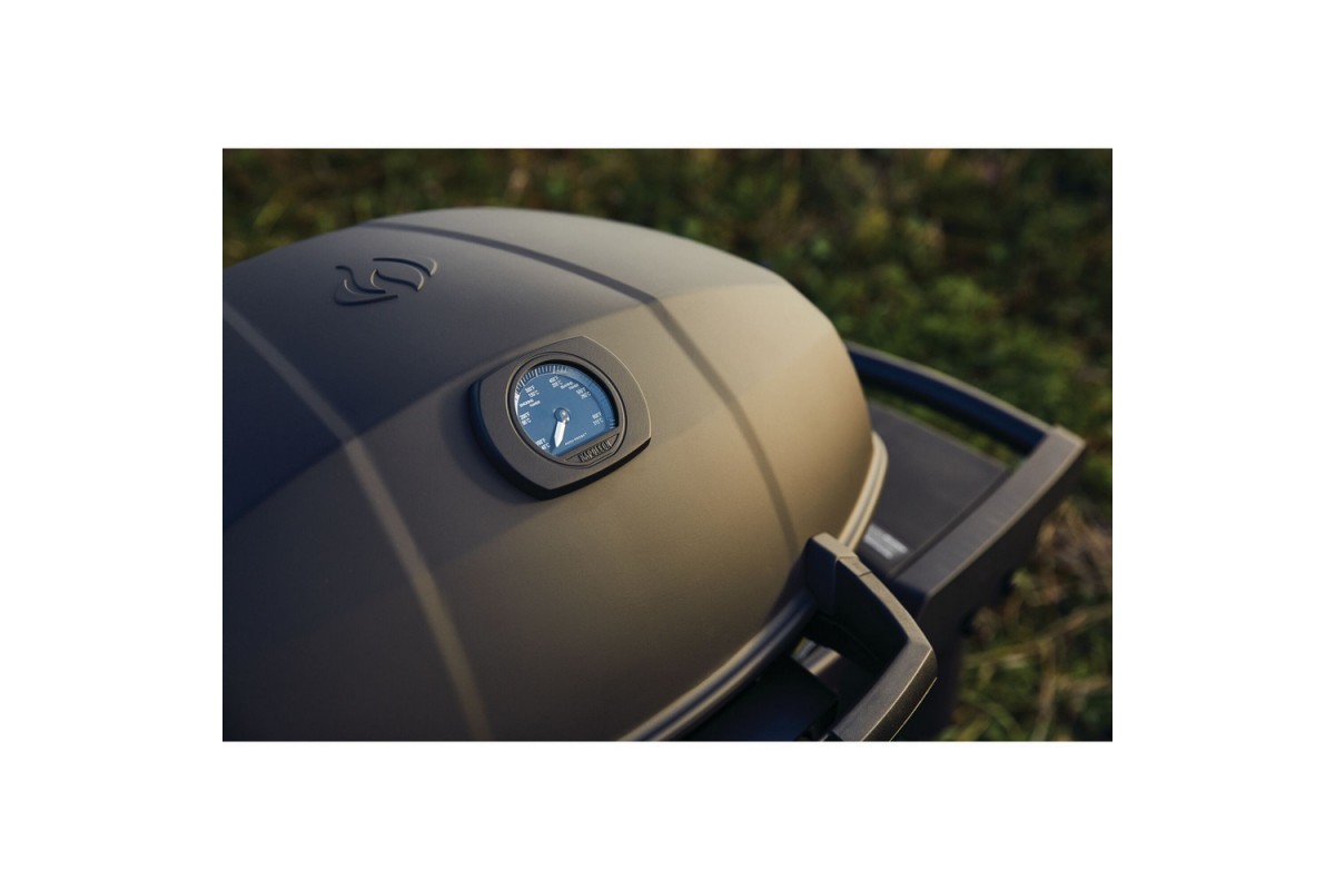 Газовый портативный гриль Napoleon TravelQ PRO285X PHANTOM на подставке, PRO285X-MK-RC-PHM