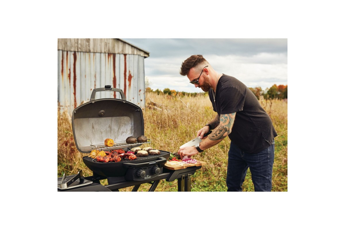 Газовый портативный гриль Napoleon TravelQ PRO285X PHANTOM на подставке, PRO285X-MK-RC-PHM