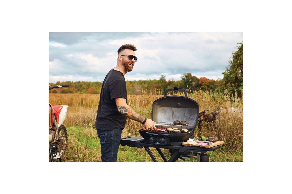 Газовый портативный гриль Napoleon TravelQ PRO285X PHANTOM на подставке, PRO285X-MK-RC-PHM