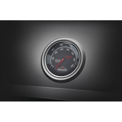 Аренда Газового гриля Napoleon Freestyle 425, графитовый F425PGT