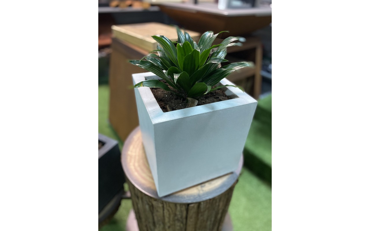 Вазон из бетона для растений, светлый (28*28*28)