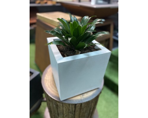 Вазон из бетона для растений, светлый (28*28*28)