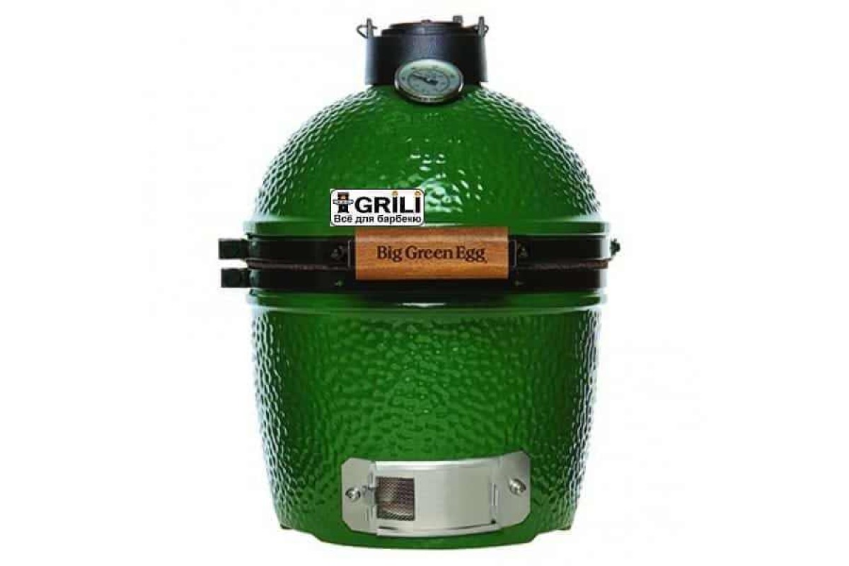 Керамический угольный гриль Mini Big Green Egg 117618 (00040)