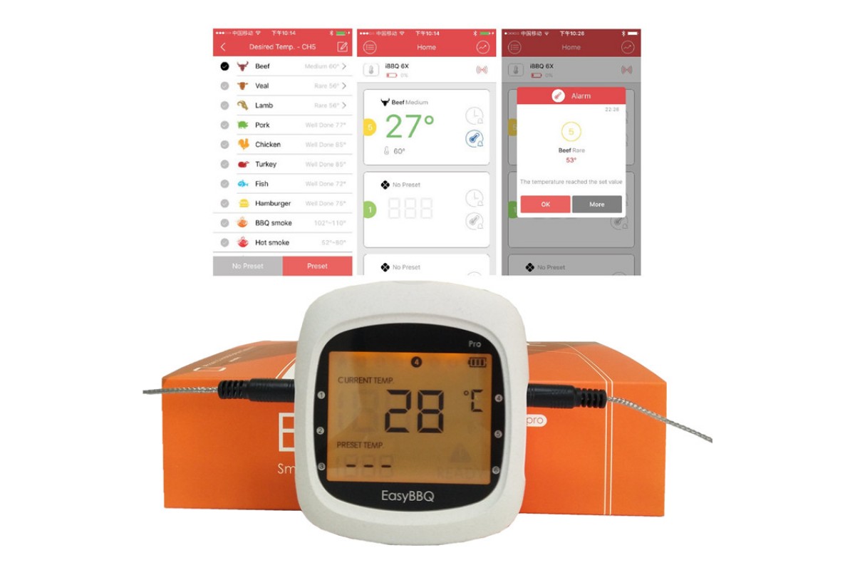 Выносной Bluetooth термометр EasyBBQ Pro3 